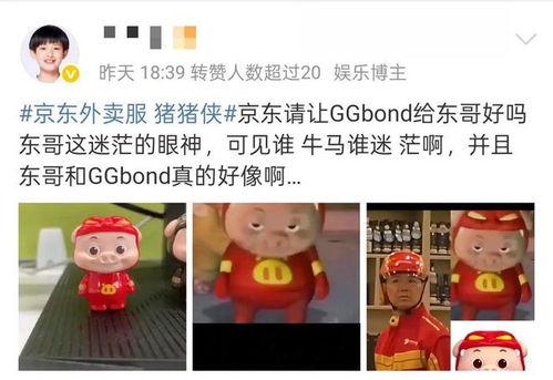 猪猪侠之吃瓜群众,揭秘校园风云，笑料百出