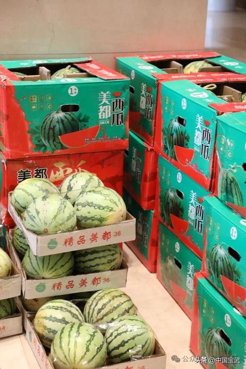 固安吃瓜事件,一场网络舆论的风暴与反思