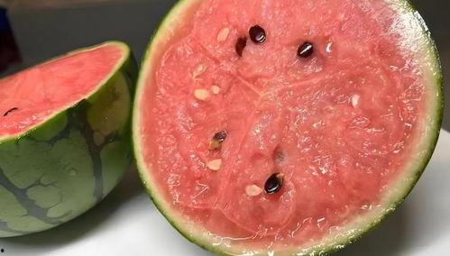 吃瓜会黄么,吃瓜也能“黄”的秘密,你了解多少?