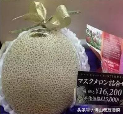 吃日本哈密瓜,一场甜蜜的跨界之旅