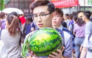 音乐学校吃瓜,揭秘校园里的“吃瓜”事件