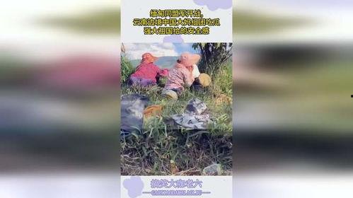 云南大妈全体吃瓜,一场全民娱乐盛宴