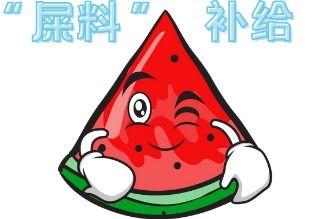 吃瓜现场素材,一场全民参与的娱乐盛宴