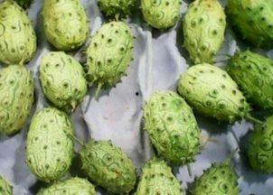 刺角瓜咋吃,刺角瓜的多样食用方法探索