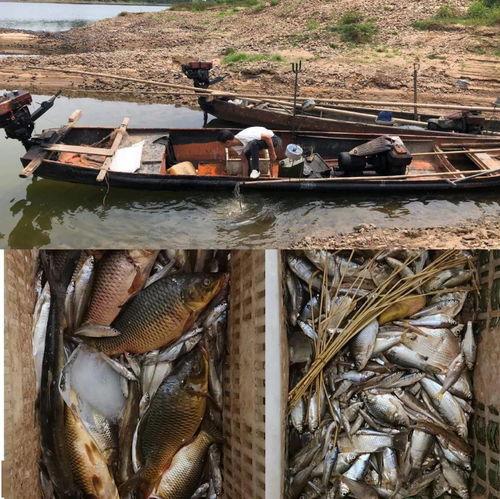 渔船吃瓜群众,揭秘海上生活点滴