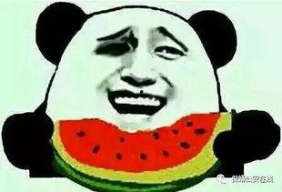 吃瓜群微信吃瓜群众,微信上那些热议的瓜皮故事