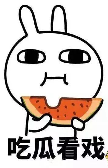 吃瓜看事儿,吃瓜群众视角下的热点事件解析
