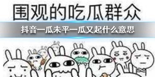 抖音配件吃瓜,揭秘网红吃瓜背后的秘密