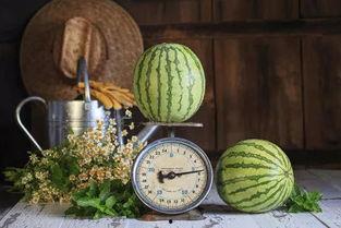 召唤吃瓜群众视频播放,火爆视频播放背后的故事