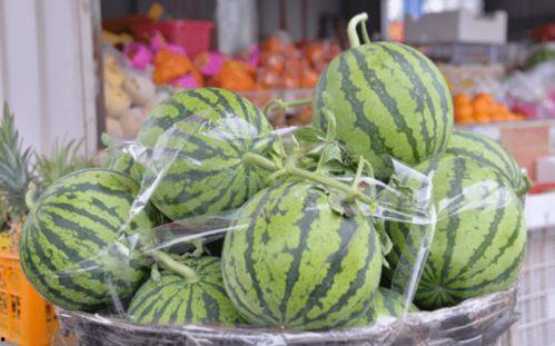 吃巴乐瓜,探寻夏日清凉美味新主张