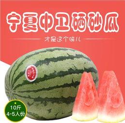 吃瓜之山寨品,山寨品背后的故事