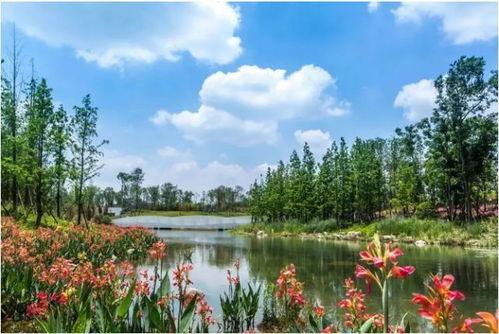 天府公园吃瓜视频下载